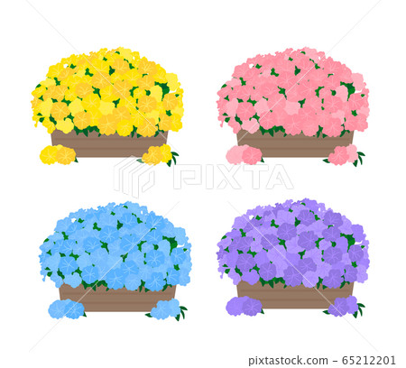Petunia 65212201