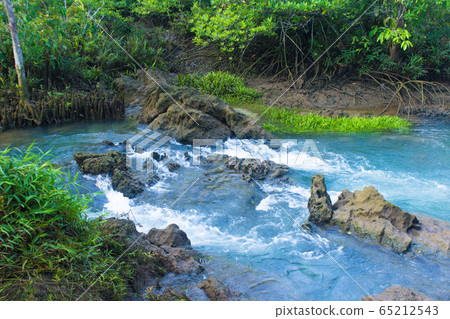 Mangrove forest and a river landscape at Thapom, 65212543