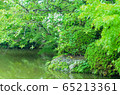Japan Kyoto Autumn Leaves Pond 65213361