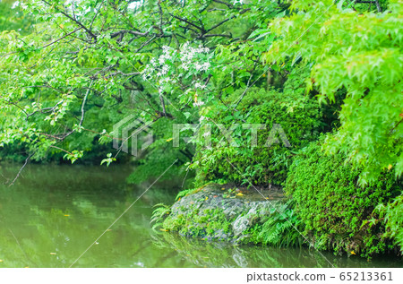 Japan Kyoto Autumn Leaves Pond 65213361