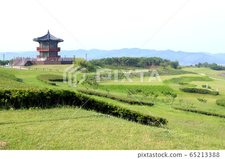 風景秀麗的草坪 風景秀麗的草坪 65213388