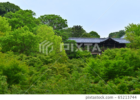 Tofukuji's passage corridor and blue maple Tofukuji's passage corridor and blue maple 65213744