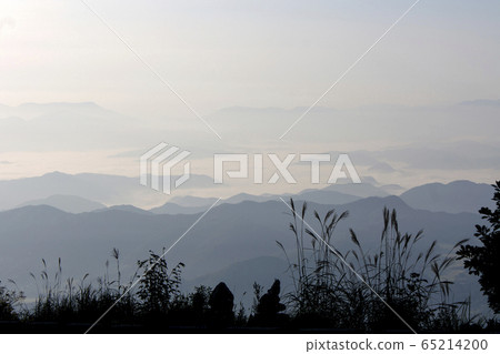 Reed and sea of clouds Reed and sea of clouds 65214200