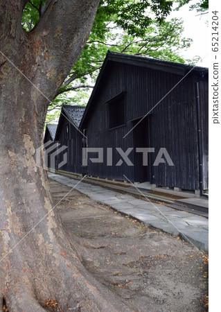 Yamai warehouse zelkova tree lined trees Yamai warehouse zelkova tree lined trees 65214204
