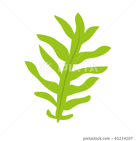 未切割的海藻的簡單矢量圖 65214207