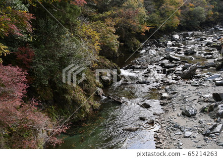 Clear stream of late autumn Matsuogawa valley Clear stream of late autumn Matsuogawa valley 65214263