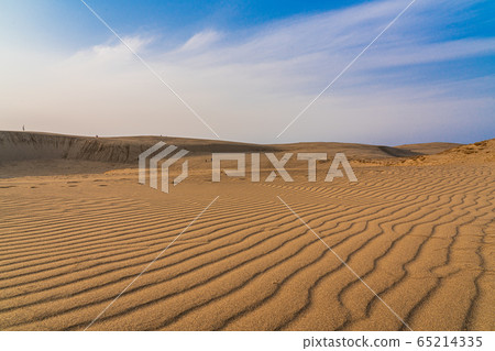 Tottori sand dunes Tottori sand dunes 65214335