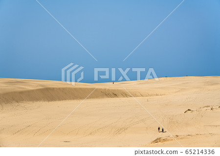 Tottori sand dunes 65214336