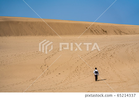 Tottori sand dunes 65214337