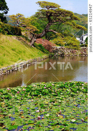 Aki castle ruins Aki castle ruins 65214947