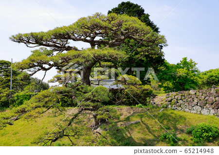 Aki castle ruins 65214948