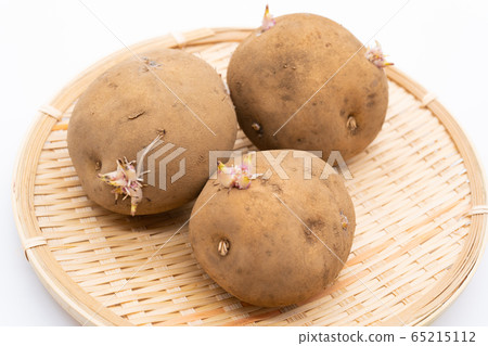 芽菜土豆 65215112