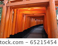 Torii of Fushimi-Inari Taisha Shrine 65215454
