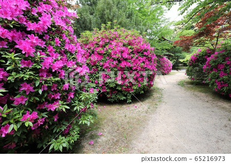 花寺長國寺 65216973