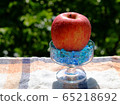 Apple  65218692