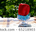 Paprika 65218903