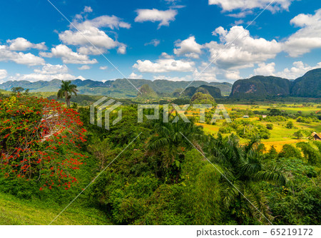Vinales Valley site in Pinar del Rio of Cuba Vinales Valley site in Pinar del Rio of Cuba 65219172