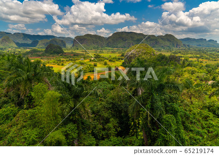 Vinales Valley site in Pinar del Rio of Cuba Vinales Valley site in Pinar del Rio of Cuba 65219174