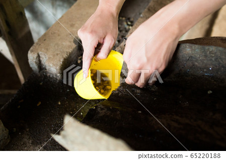 Coffee making process 65220188