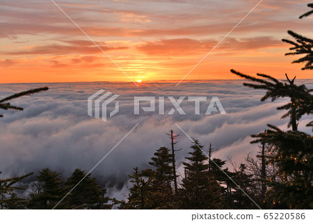 八岳早晨 65220586