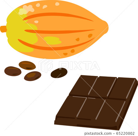 Cacao fruit and chocolate bar 65220802