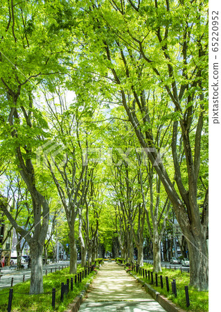 Jojo Temple Street Keyaki內襯仙台市 Jojo Temple Street Keyaki內襯仙台市 65220952