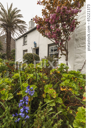 Pretty Cottages in St Marys on the Scilly Isles 65221373