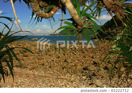 17 Aug 2008  summer of Port Shelter at sai kung 65222712