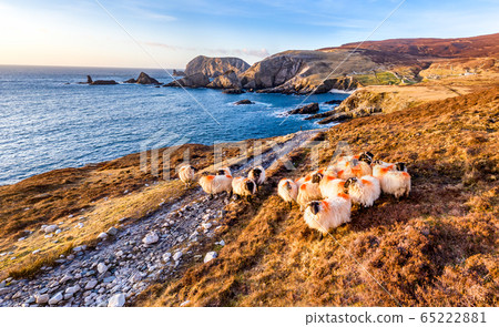 Aerial view of the beautiful coast by Port in County Donegal - Ireland 65222881