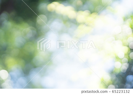 Fresh green blur bokeh Fresh green blur bokeh 65223132