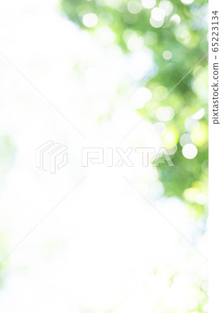 Fresh green blur bokeh 65223134