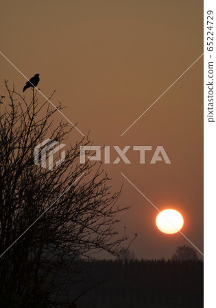 Sunrise near Dussen Sunrise near Dussen 65224729