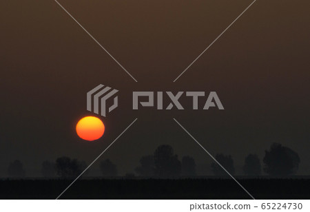 Sunrise near Dussen Sunrise near Dussen 65224730