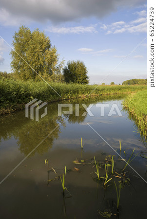 Canal near Dussen Canal near Dussen 65224739