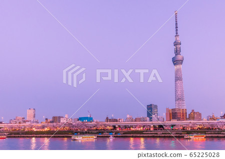 櫻花在傍晚的陽光下盛開的東京濱水區的夜景 櫻花在傍晚的陽光下盛開的東京濱水區的夜景 65225028