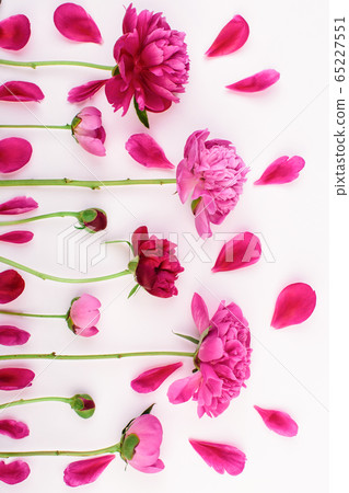 Pattern with pink and purple flowers of peony on a Pattern with pink and purple flowers of peony on a 65227551