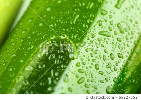 Air bubble in a glass container filled with green Air bubble in a glass container filled with green 65227552