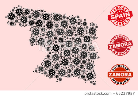 Flu Virus Collage of Mosaic Zamora Province Map and Textured Stamps 65227987