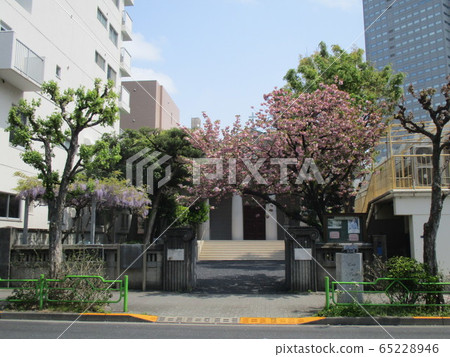 天主教築地教堂 天主教築地教堂 65228946