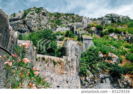 Kotor fortress with mountains in Montenegro 65229326