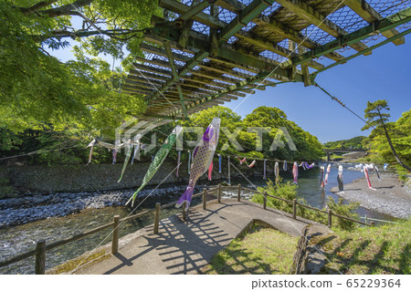 高龍瀑布Koinobori [靜岡縣] 65229364