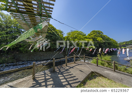 高龍瀑布Koinobori [靜岡縣] 65229367