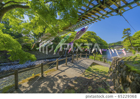 高龍瀑布Koinobori [靜岡縣] 65229368