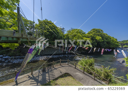 高龍瀑布Koinobori [靜岡縣] 65229369