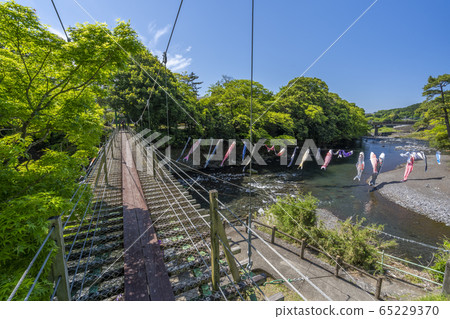 Goryu Waterfall Koinobori [Shizuoka Prefecture] 65229370