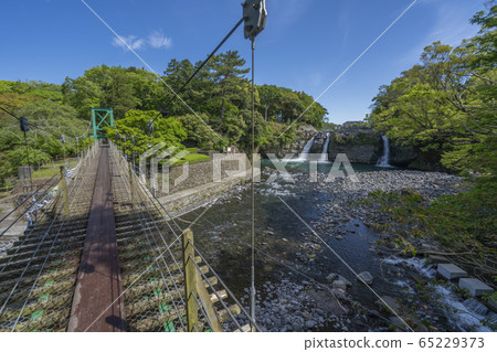 高龍瀑布Koinobori [靜岡縣] 65229373