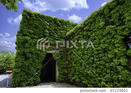 Kurashiki Bikan Area Ivy Square Kurashiki City, Okayama Prefecture 65229801