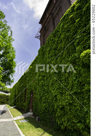 岡山縣倉敷市倉敷Bikan Area常春藤廣場 65229802