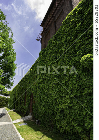 岡山縣倉敷市倉敷Bikan Area常春藤廣場 65229803