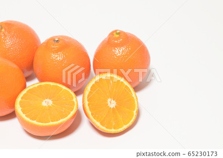 Mineola Orange Fruit Mineola Orange Fruit 65230173